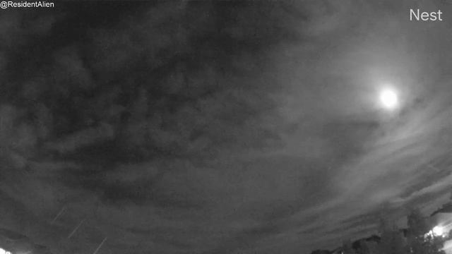 Moon Brew смотреть онлайн