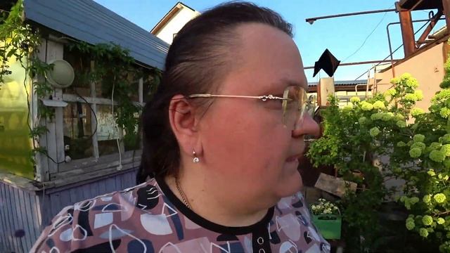 Белая краска. Рябина хорошо цветёт. Заезжали на покос. Запеканка с грушевым вареньем. Ефим купается смотреть онлайн