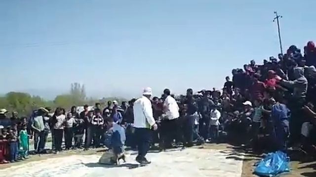 Гуштини милли