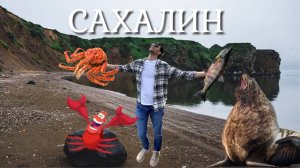 САХАЛИН. Успеть за 2 дня. Охотское море, крабы, Тихая бухта, Клоковский водопад, Невельск, сивучи.