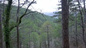 Архипо-Осиповка, экологическая тропа и смотровая площадка 2 февраля 2025