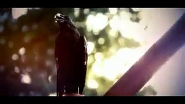 5 сезон, Дневники вампира
