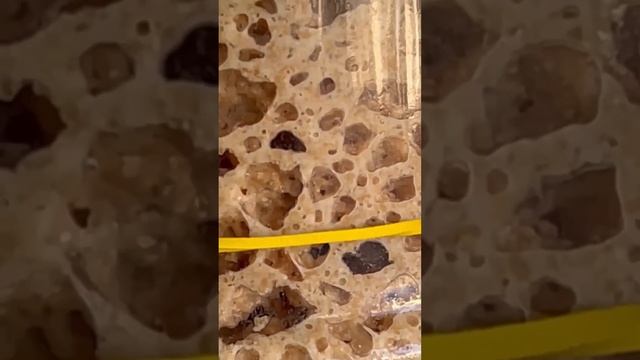 ЗАКВАСКА С НУЛЯ! РЖАНАЯ ЗАКВАСКА ЗА 3 ДНЯ НА ФРУКТОВОЙ ФЕРМЕНТИРОВАННОЙ ВОДЕ.