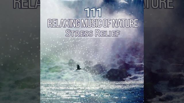 Nurture the Fire: Spring Equinox смотреть онлайн