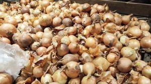 Цены На Продукты в Латвии Всё для Людей  Одна из Самых  Успешных  Стран #рекомендации #латвия #жиза