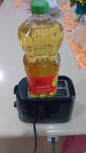 EXPERIMENT: Canola oil in the toaster смотреть онлайн