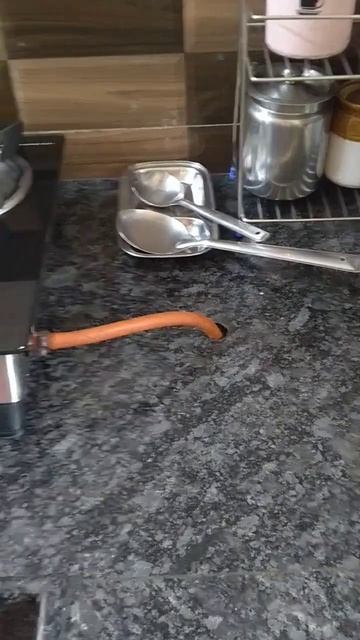 Preethi 4 burner gas stove review #shorts #shortsfeed #tamil смотреть онлайн