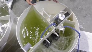 Автономная канализация Zorde Rein (Зорде Рейн)