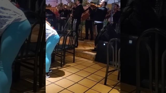 La Sirenita  Restaurante. смотреть онлайн