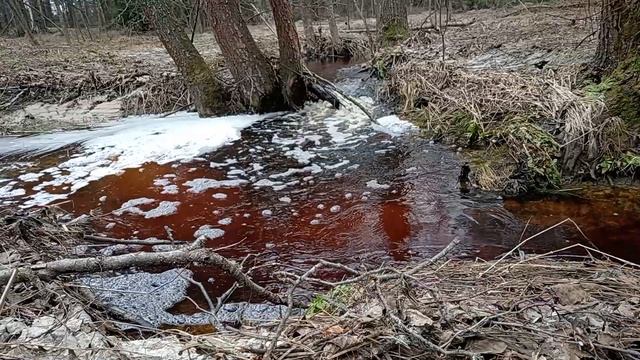 Лесные Ручьи