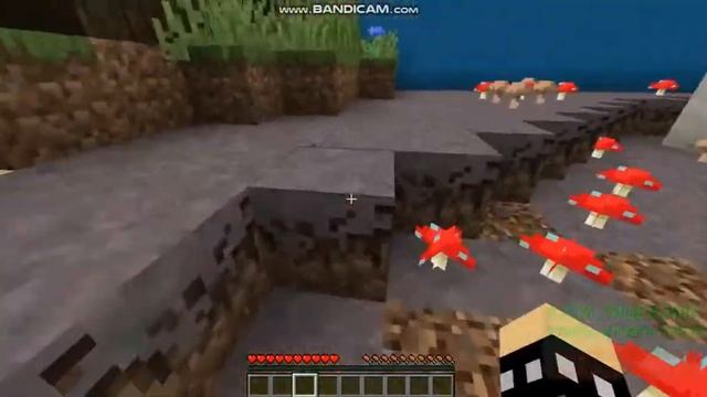 Эту кнопку могут найти только 0,1% людей смотреть онлайн