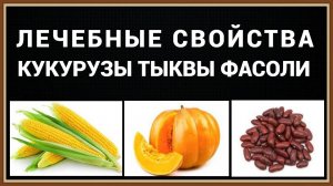 ПОЛЕЗНЫЕ СВОЙСТВА КУКУРУЗЫ ТЫКВЫ ФАСОЛИ