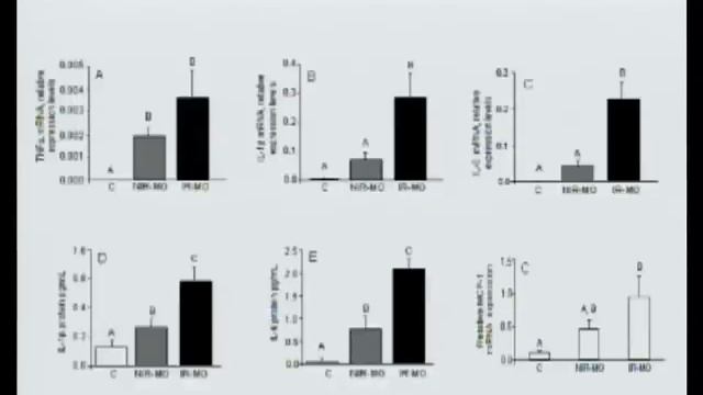 Conferencia Científica Anual sobre Síndrome Metabólico 2012 - Dr. Galileo Escobedo - Parte 2