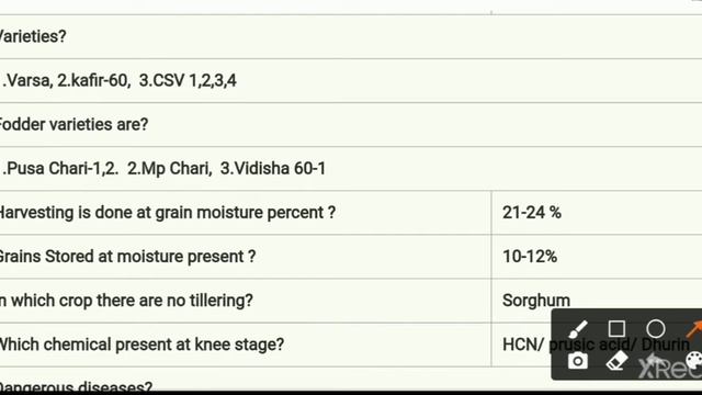 Sorghum Crop Full Information! 50+ Inportant Points! Question Comes in All Agriculture Exam смотреть онлайн