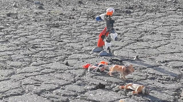 стрельба по железным машинкам на расстоянии 50 м смотреть онлайн