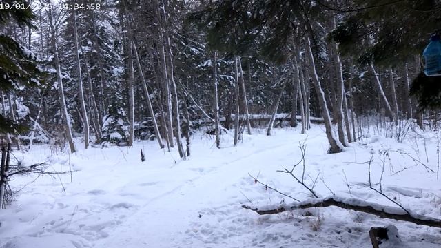 Красоты нашей природы.