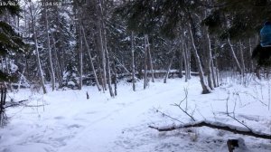 Красоты нашей природы.