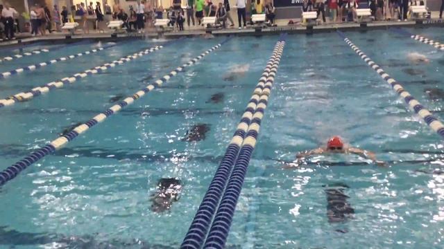 Aly El Shamy - Boys 13-14 400 Yard IM Finals - Niagara SC Championships 2019 смотреть онлайн