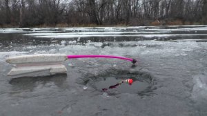 Не успел опуститься поплавок , как он сразу всплыл! Зимняя рыбалка