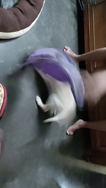 🤨 🤍🤍🤍 смотреть онлайн