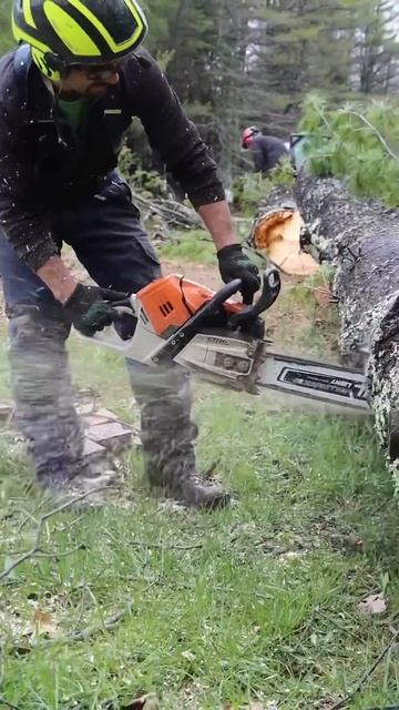The $1,600 Chainsaw You Should Buy! смотреть онлайн