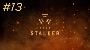 [PC] True Stalker | Прохождение | #13