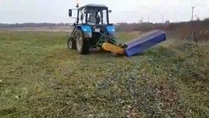 Покос травы. Московская область