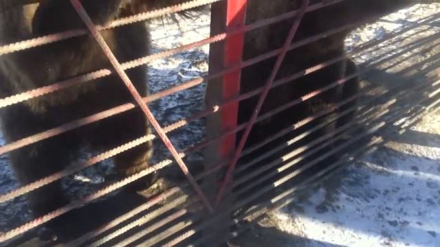 KZ trip 2012 (авто ЕП2012) - 33 смотреть онлайн