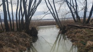 Зимняя рыбалка при +3