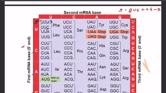 Genetic Code