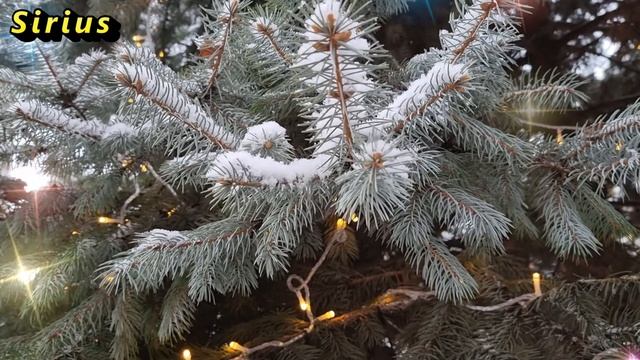 Какие знаки зодиака сильно устанут к концу второй декады декабря 2022 года