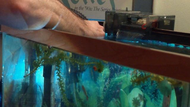 Cleaning undergravel filter with wet/dry vacuum. смотреть онлайн