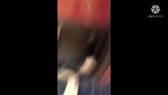 МОЯ СОБАКА УПРАВЛЯЕТ МОЕЙ ЖИЗНЬЮ 24 ЧАСА ! смотреть онлайн