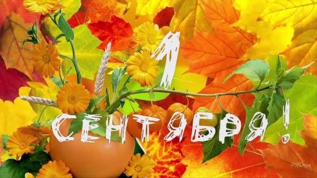 Сборник футажей на 1 сентября смотреть онлайн