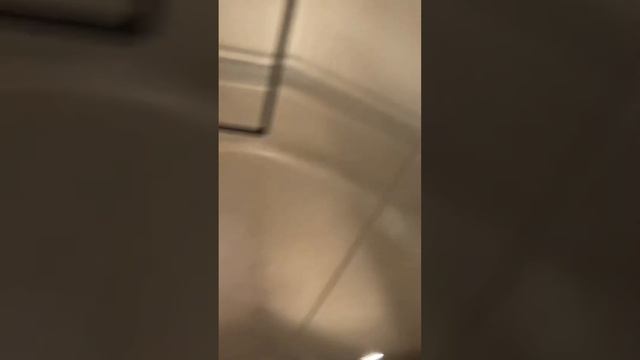 EPIC MOTOR! Thyssenkrupp Aurora elevator at 375 Cedar sage BLVD at Firewheel Town center смотреть онлайн