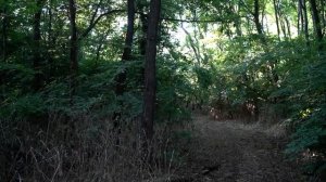TINY BUNNY ЗАЙЧИК В РЕАЛЬНОЙ ЖИЗНИ! Nepeta Страшилки (нарезка из видео )