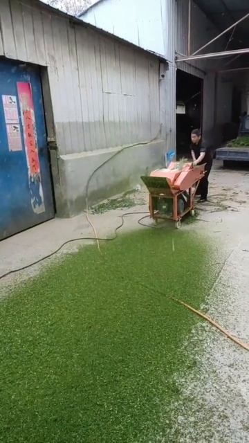 silage cutter machine for west africa market смотреть онлайн