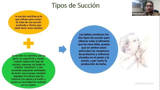 Mitos y realidades de la lactancia materna - FEyN UACH смотреть онлайн