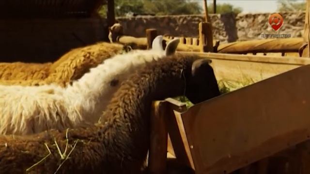 Анонс. Телепутешествия. Наша планета. Южная Америка