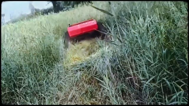 Газонокосилка гусеничная с дистанционным управлением