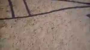 Barbara Streisand ууууу-уууу-ууу