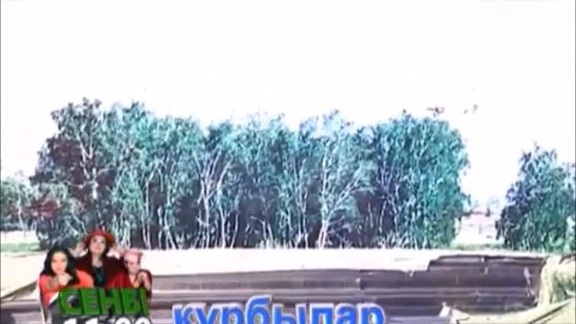 2016 Выставка Виртуальные ландшафты Дитера Зайта