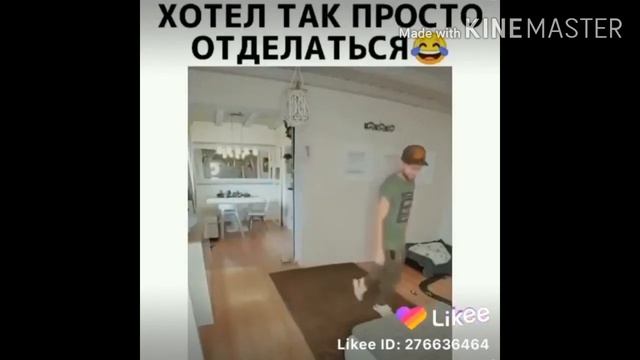 Алиса и Бузова смотреть онлайн