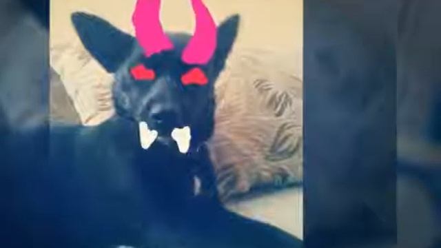 З днем "Хеллоуину" смотреть онлайн