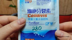 Эксперимент с Цитокинином🤔