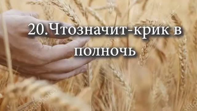 20 Чтозначит крик в полночь
