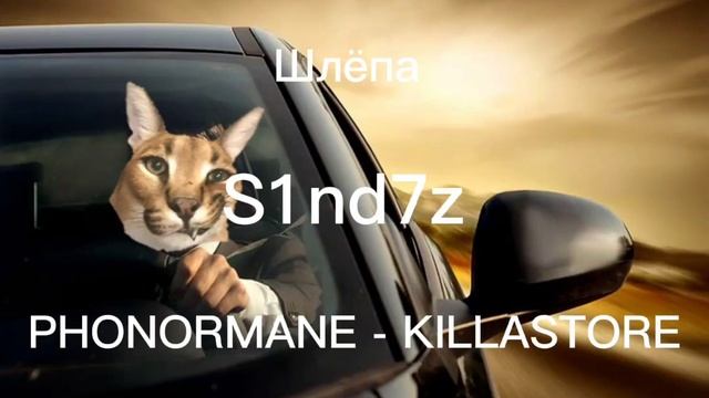 Шлёпа - KILLASTORE // MashUp // phonk смотреть онлайн