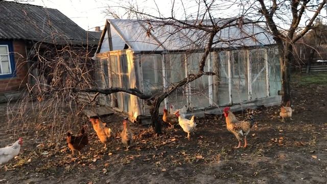 Забирать или нет,? Вот в чем вопрос! смотреть онлайн