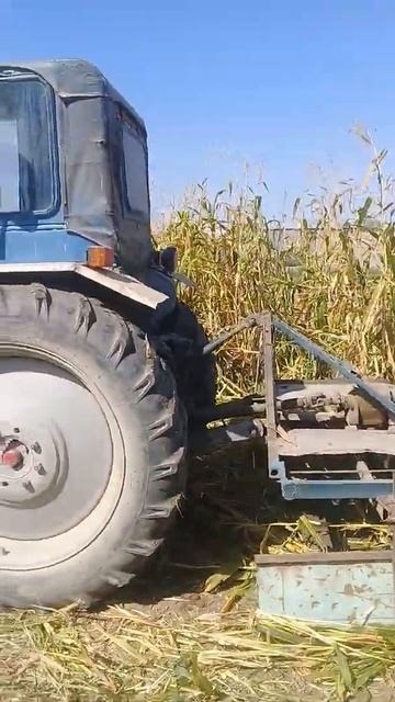 Роторный косилка Узбекистане смотреть онлайн