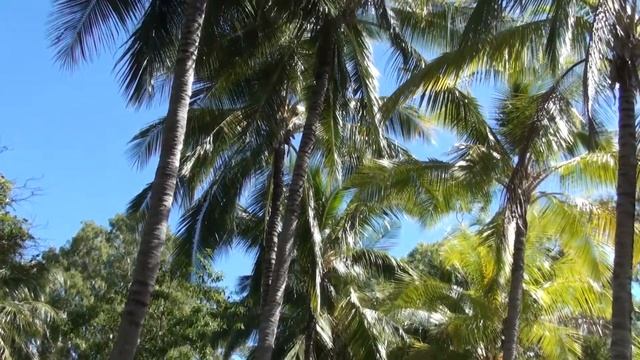 Hamilton Island - 2.Cast смотреть онлайн